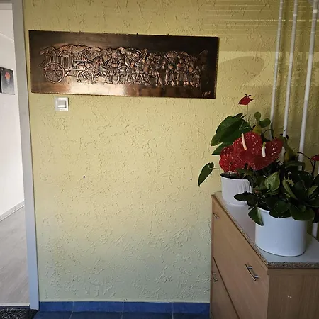 2 Mit Kueche Und Terrasse Apartment