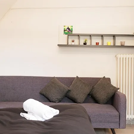 Daire 2 Mit Kueche Und Terrasse Offenburg